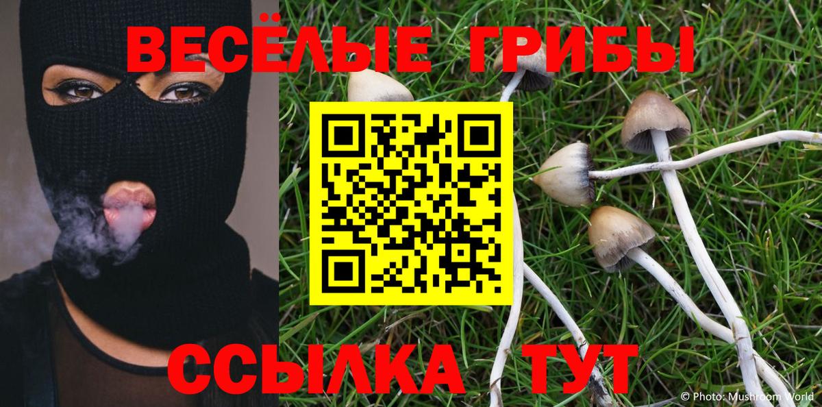 Псилоцибиновые грибы ЛСД Кемерово