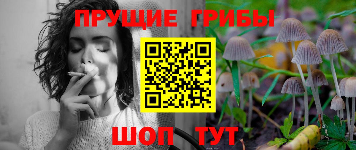 Псилоцибиновые грибы прущие грибы  Вход с VPN  Кемерово 